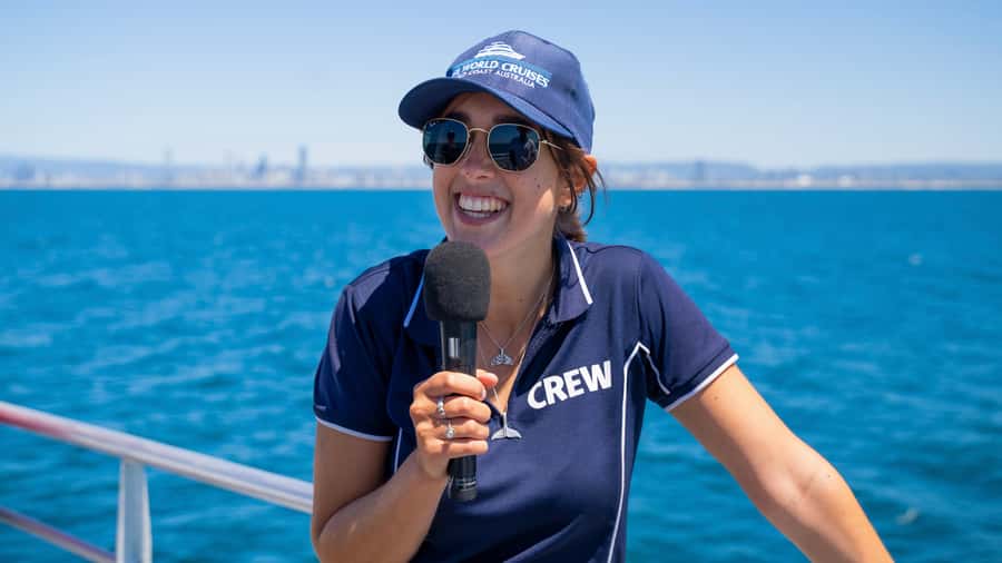 Gold Coast: Premium Whale Watching Cruise - Commentary from captains and marine guides