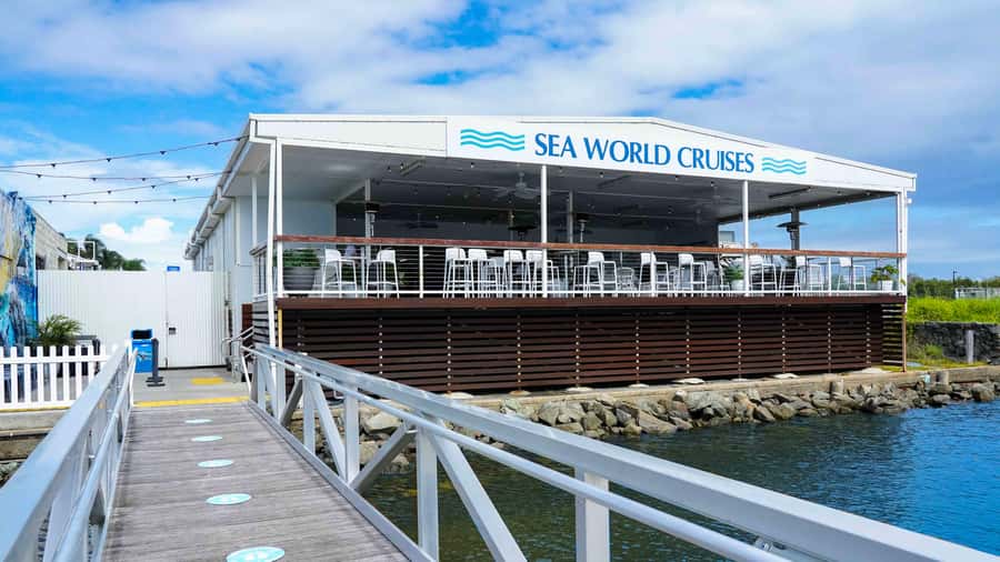 Gold Coast: Premium Whale Watching Cruise - Who will enjoy this cruise most?