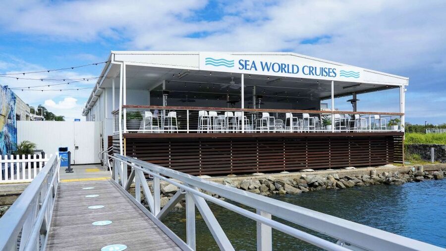 Gold Coast: Premium Whale Watching Cruise - Booking advice for the best chance of a good day