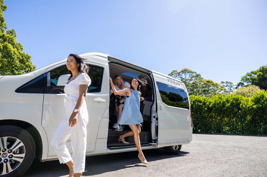 Gold Coast: Premium Wine Tour with Gourmet Lunch - Who will enjoy this tour most