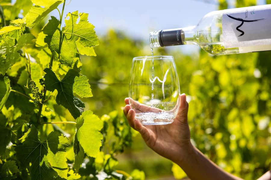 Gold Coast: Premium Wine Tour with Gourmet Lunch - How the transport works in practical terms
