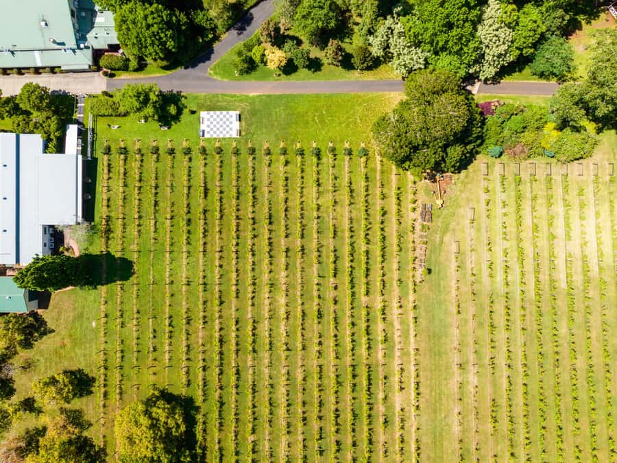 Gold Coast: Premium Wine Tour with Gourmet Lunch - The first winery tasting, about 45 minutes