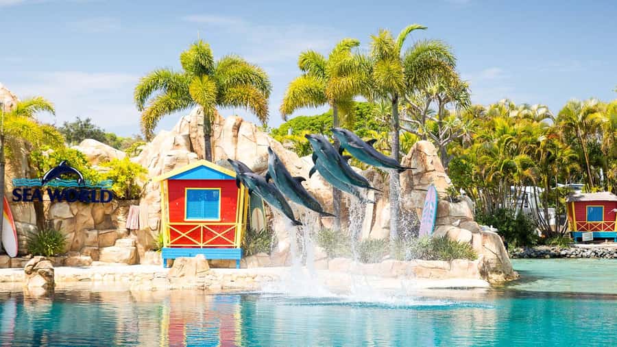 Gold Coast: Sightseeing Hop-on Hop-off Cruise - The smartest way to plan your day