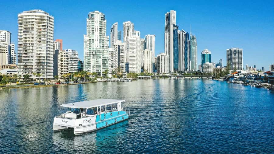 Gold Coast: Sightseeing Hop-on Hop-off Cruise - Sea World for a full attraction day