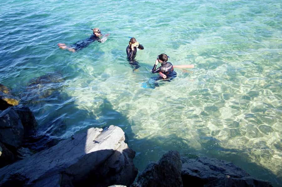 Gold Coast: Snorkelling in Wave Break Island - Key points at a glance
