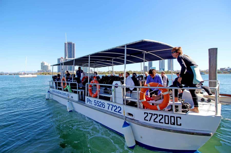 Gold Coast: Snorkelling in Wave Break Island - What makes Wave Break Island a good first snorkel