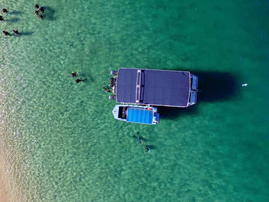 Gold Coast: Snorkelling in Wave Break Island - Getting fitted with masks, fins, and wetsuits