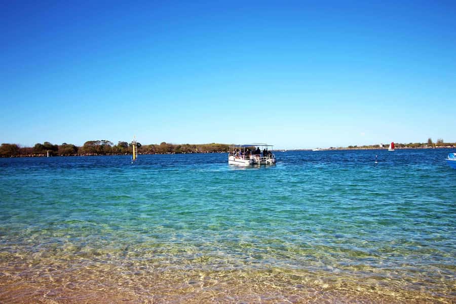 Gold Coast: Snorkelling in Wave Break Island - Is $55 a fair price?