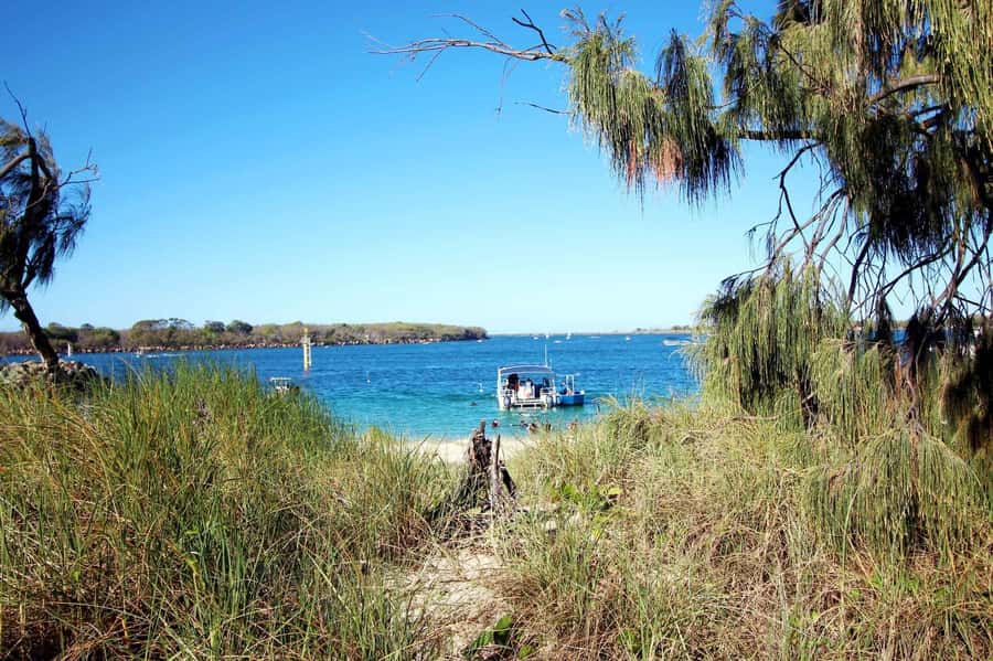 Gold Coast: Snorkelling in Wave Break Island - From the Gold Coast to the island by boat