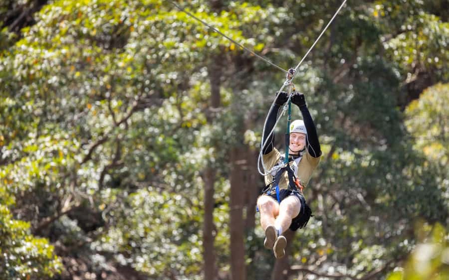 Gold Coast: Tamborine Mountain Canyon Flyer Zipline Tour - The bridges are part of the challenge