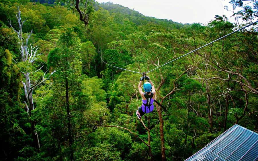 Gold Coast: Tamborine Mountain Canyon Flyer Zipline Tour - Getting to Thunderbird Park