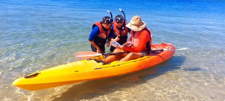 Gold Coast: Wave Break Island Kayaking & Snorkeling tour - What the Wave Break Island tour is really like