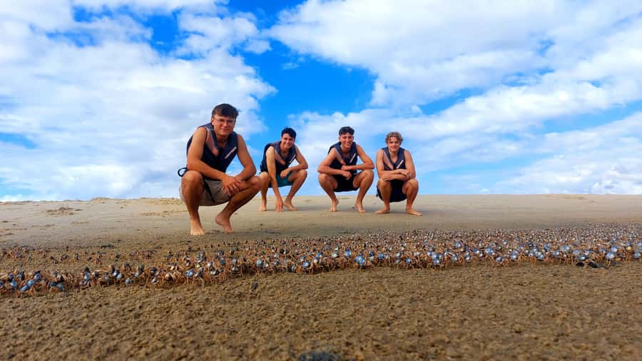 Gold Coast: Wave Break Island Kayaking & Snorkeling tour - Walking across a manmade island