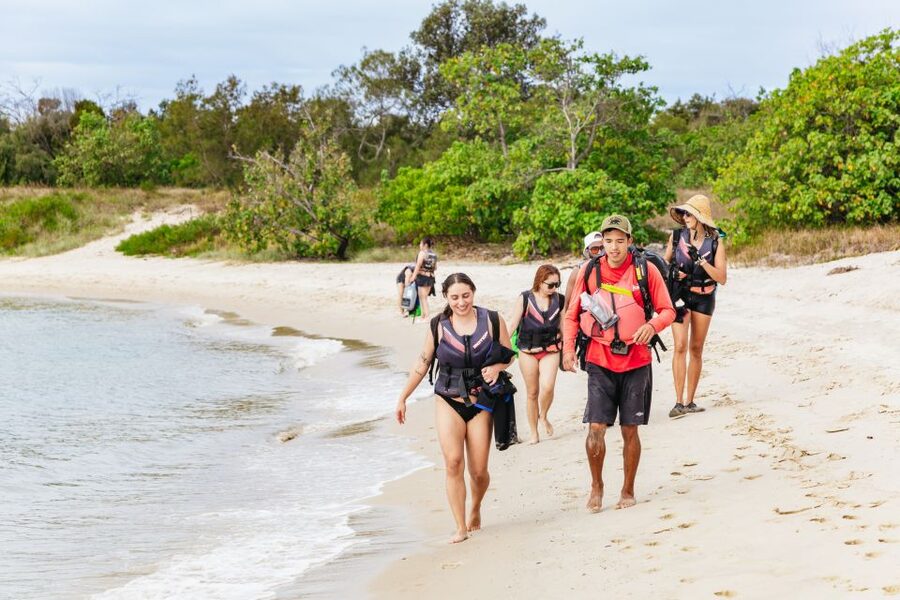 Gold Coast: Wave Break Island Kayaking & Snorkeling tour - How the $63 price holds up