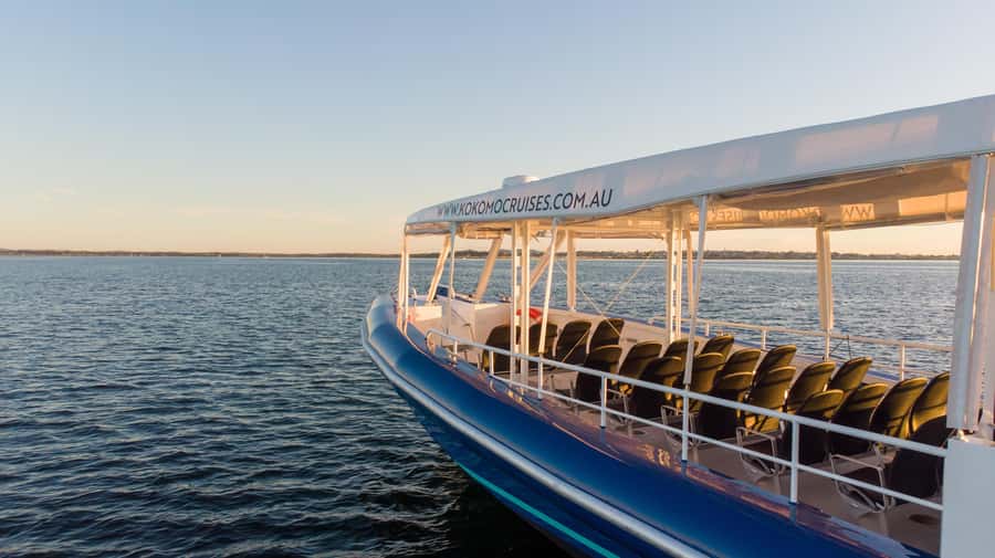 Gold Coast Whale Experience - A smaller boat and a more personal feel