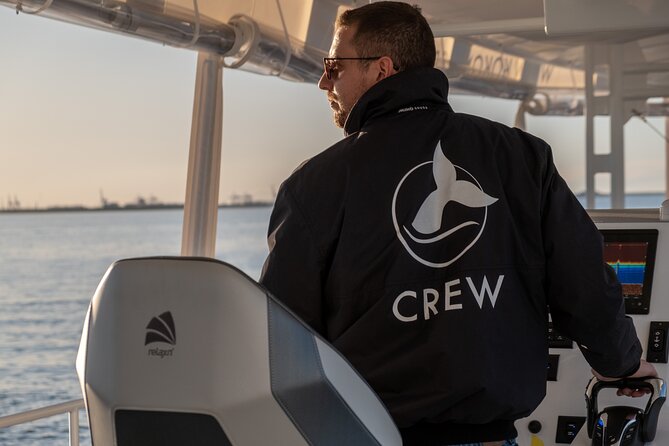 Gold Coast Whale Watching Cruise - The crew adds meaning to the sightings