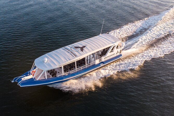 Gold Coast Whale Watching Cruise - How much value do you get for $63.12?