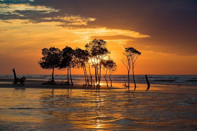 Golden Eye Sunset Jet Skiing in Darwin - Who will get the most from this tour