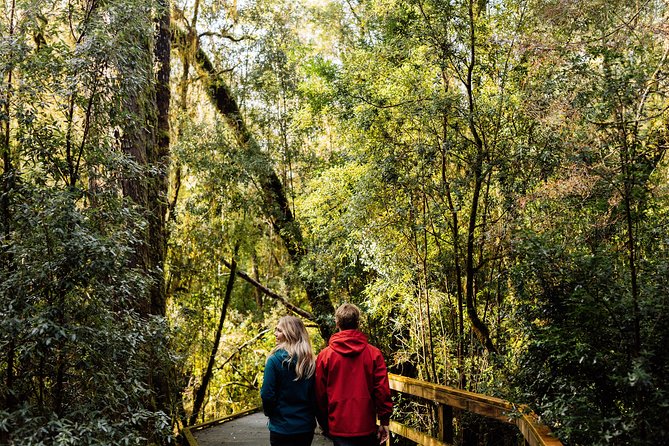 Gordon River Cruise departing from Strahan - Lunch, service and choosing your seat
