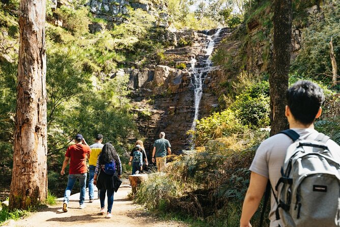 Grampians National Park Small-Group Eco Tour from Melbourne - Key points to know before booking