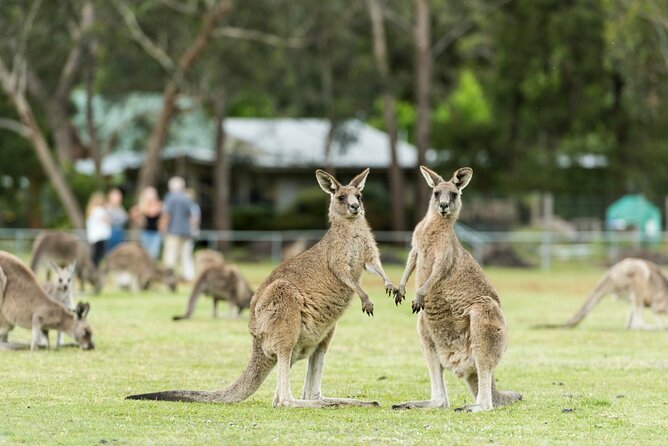 Grampians National Park Small-Group Eco Tour from Melbourne - MacKenzie Falls is the afternoon highlight