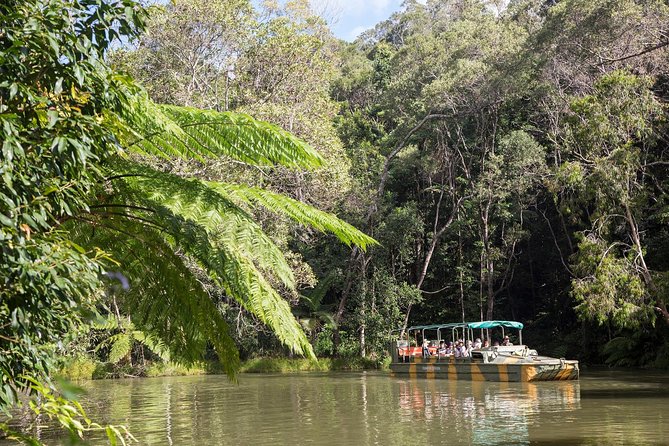 Grand Kuranda including Skyrail and Kuranda Scenic Railway - Butterflies in a huge flight aviary
