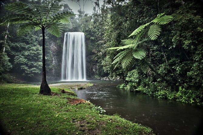 Grand Kuranda including Skyrail and Kuranda Scenic Railway - What the $230.95 price really covers