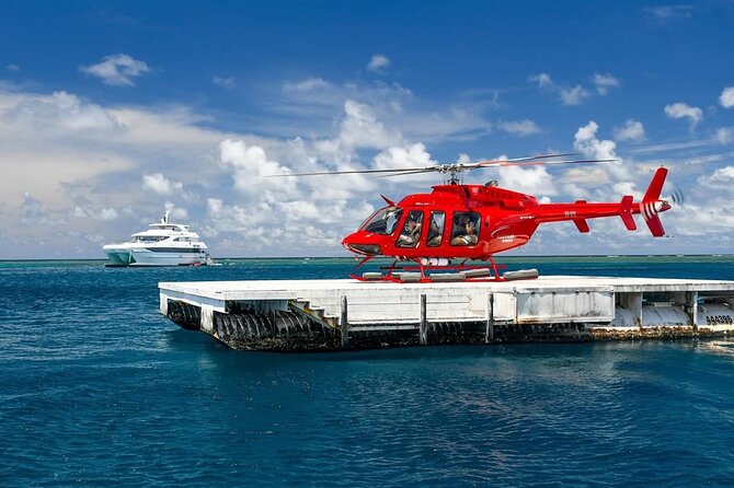 Great Barrier Reef Cruise - Gold Class VIP Lounge Package - The journey back: wine, cheese, and a quieter finish