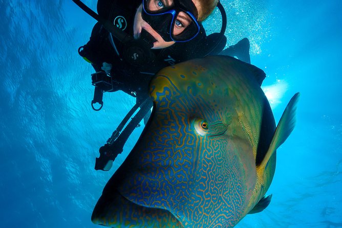 Great Barrier Reef Cruise - Gold Class VIP Lounge Package - What the concierge service really adds