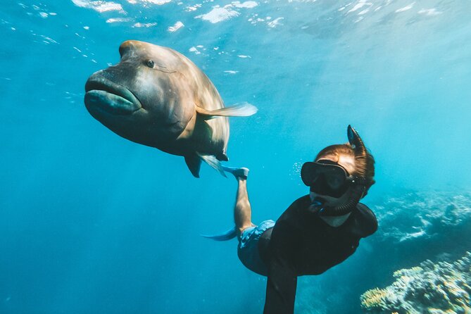 Great Barrier Reef Full Day Adventure - Reefworld: more than a place to swim