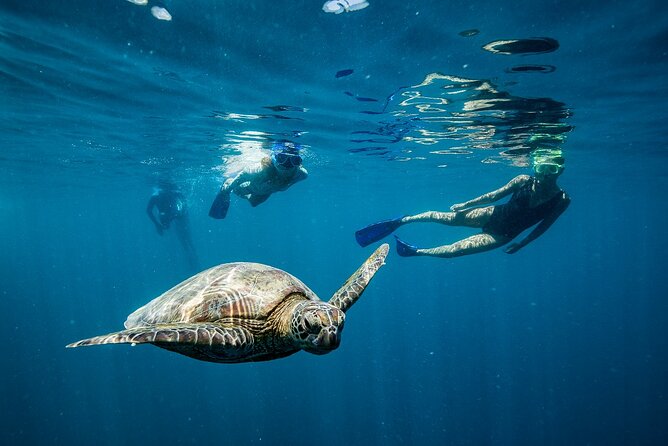 Great Barrier Reef Full Day Adventure - The real value at $200.11