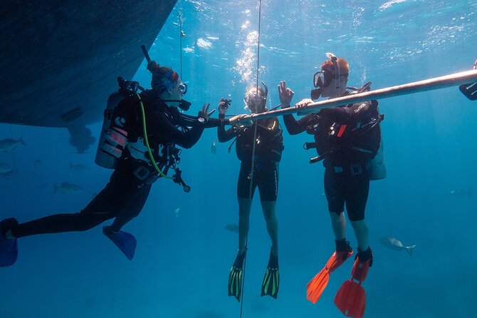 Great Barrier Reef Full Day Tour from Cairns - Lunch, snacks, and what to bring
