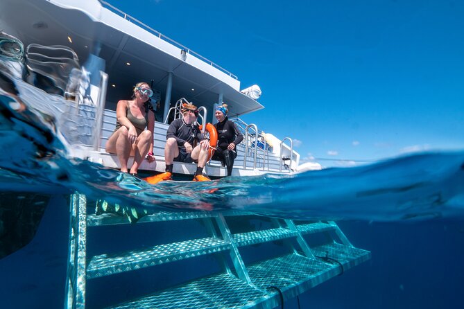 Great Barrier Reef Full Day Tour from Cairns - Should you book this Great Barrier Reef tour?