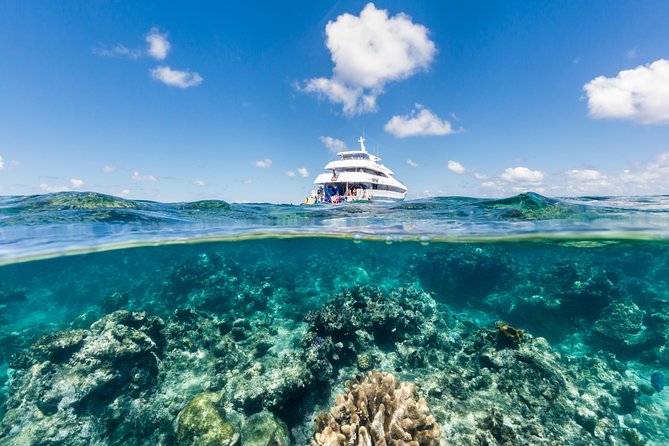 Great Barrier Reef Snorkeling and Diving Cruise from Cairns - Why Two Outer Reef Stops Matter