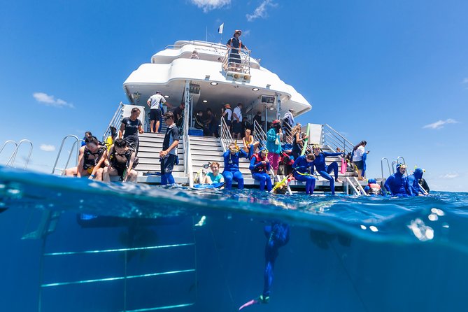 Great Barrier Reef Snorkeling and Diving Cruise from Cairns - The Morning Begins at Reef Fleet Terminal