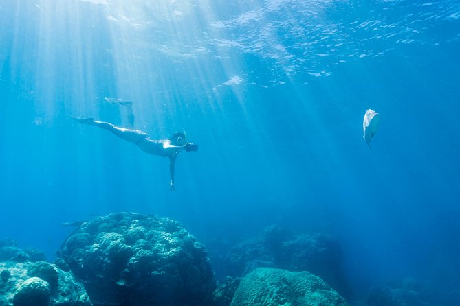 Great Barrier Reef Snorkeling and Diving Cruise from Cairns - Optional Scuba for Beginners and Certified Participants