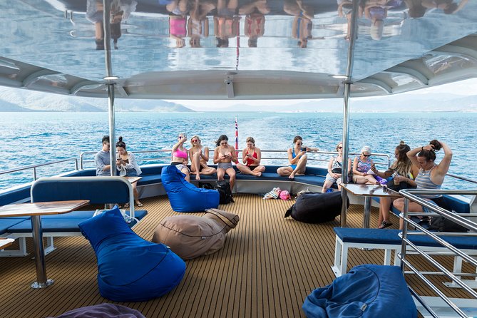 Great Barrier Reef Snorkeling and Diving Cruise from Cairns - First Reef Session: Saxon or Norman Reef