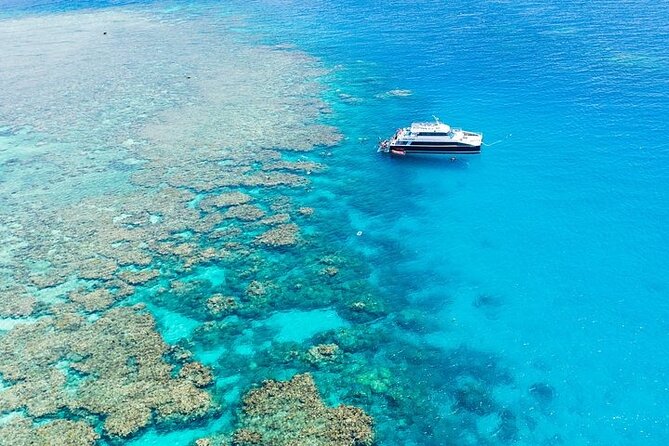 Great Barrier Reef with Cultural Guides-Dreamtime Dive & Snorkel - Leaving Cairns at 8:30 a.m.