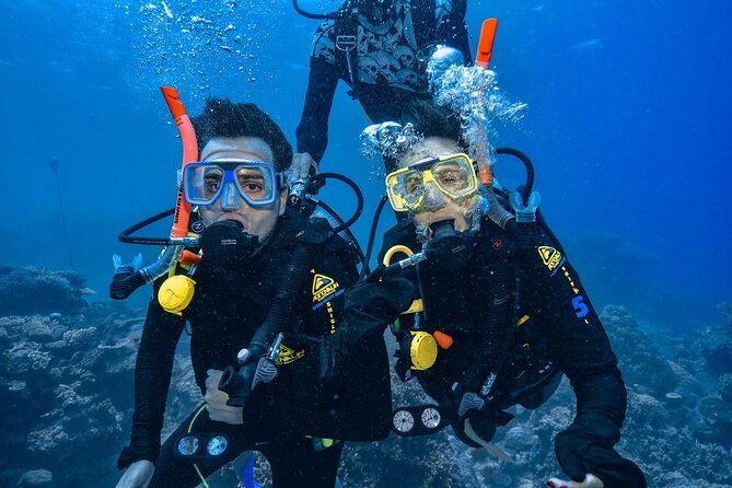 Great Barrier Reef with Cultural Guides-Dreamtime Dive & Snorkel - Is $165.68 good value?