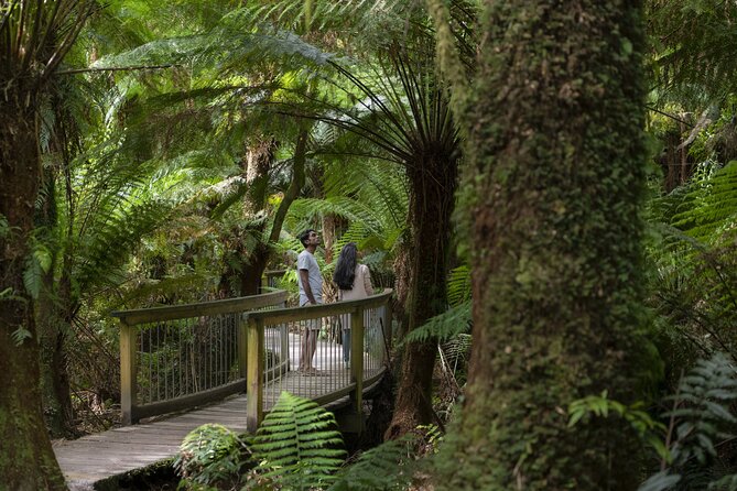 Great Ocean Road, 12 Apostles, Loch Ard Gorge & lunch - Melbourne - Morning tea and lunch: useful, but keep expectations modest