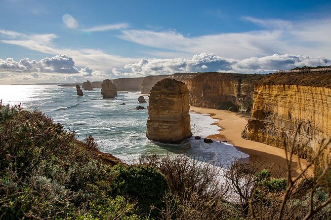 Great Ocean Road, 12 Apostles, Rainforest & Morning Tea-Melbourne - Walking through Great Otway National Park