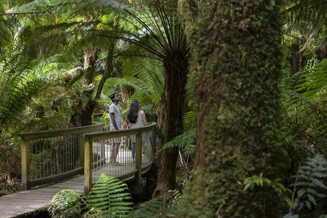 Great Ocean Road, 12 Apostles, Rainforest & Morning Tea-Melbourne - The Memorial Arch and the story of the road