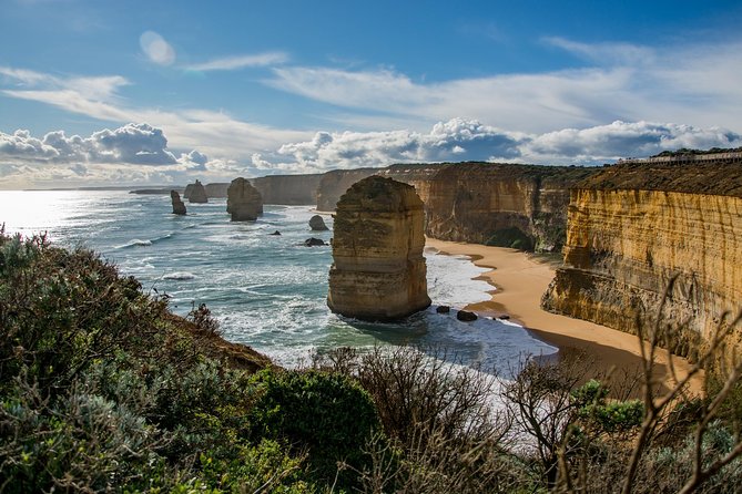 Great Ocean Road 12 Apostles & Rainforest Walk with Morning Tea - Why this Great Ocean Road day trip works
