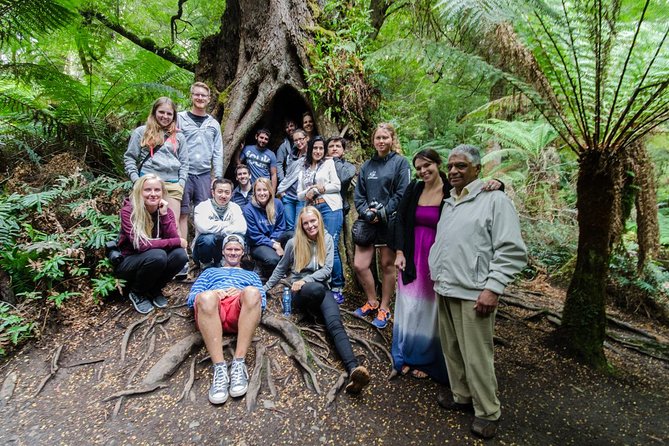 Great Ocean Road 12 Apostles & Rainforest Walk with Morning Tea - The Otway rainforest walk is a welcome change