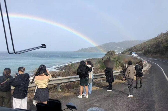 Great Ocean Road Must-See Extended Tour – 12 Apostles & Beyond - Barham River Road and the chance to see koalas