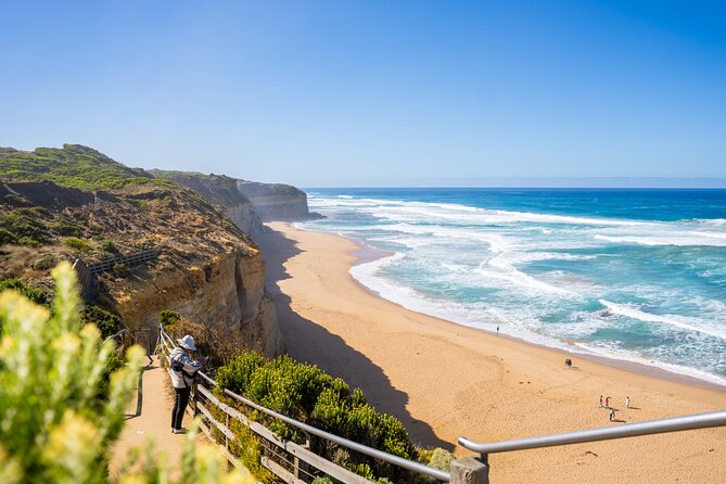 Great Ocean Road Reverse Itinerary Boutique Tour - Max 11 Guests - Apollo Bay lunch and the road itself