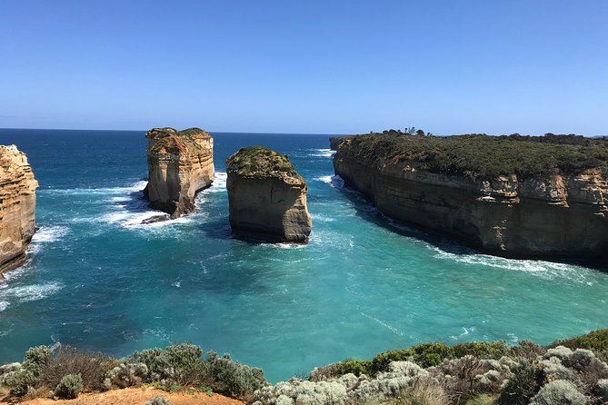 Great Ocean Road Reverse Itinerary PREMIUM Tour - Max 11 Guests - Wildlife at Kennett River