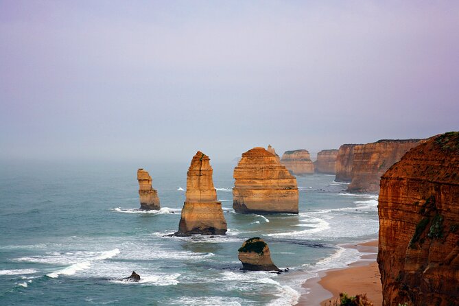 Great Ocean Road Reverse Tour with Iconic Stops & Wildlife - What the guides add to the day