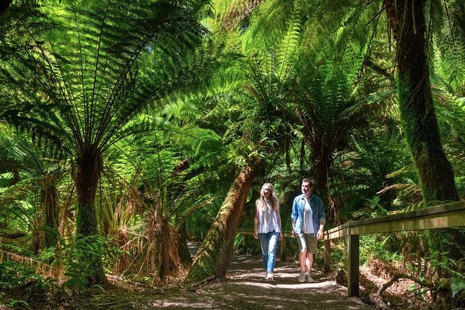 Great Ocean Road Small-Group Eco Tour from Melbourne - The Twelve Apostles and Gibson Steps