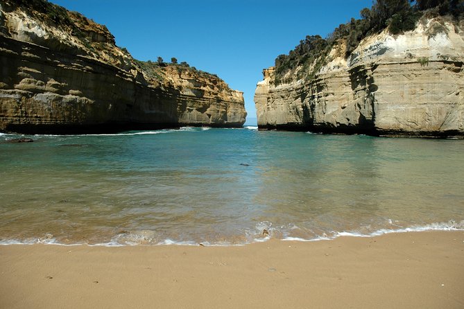 Great Ocean Road Tour Plus Koalas, Forest Walk and Morning Tea - The Great Ocean Road signs make easy first photos